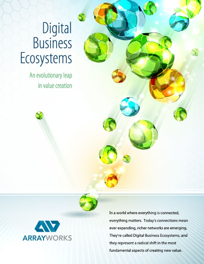Digital Business Ecosystems